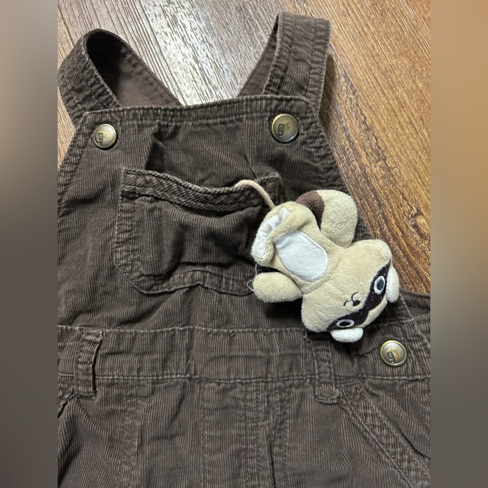 Gymboree Raccoon Overalls - Picture 3 of 4